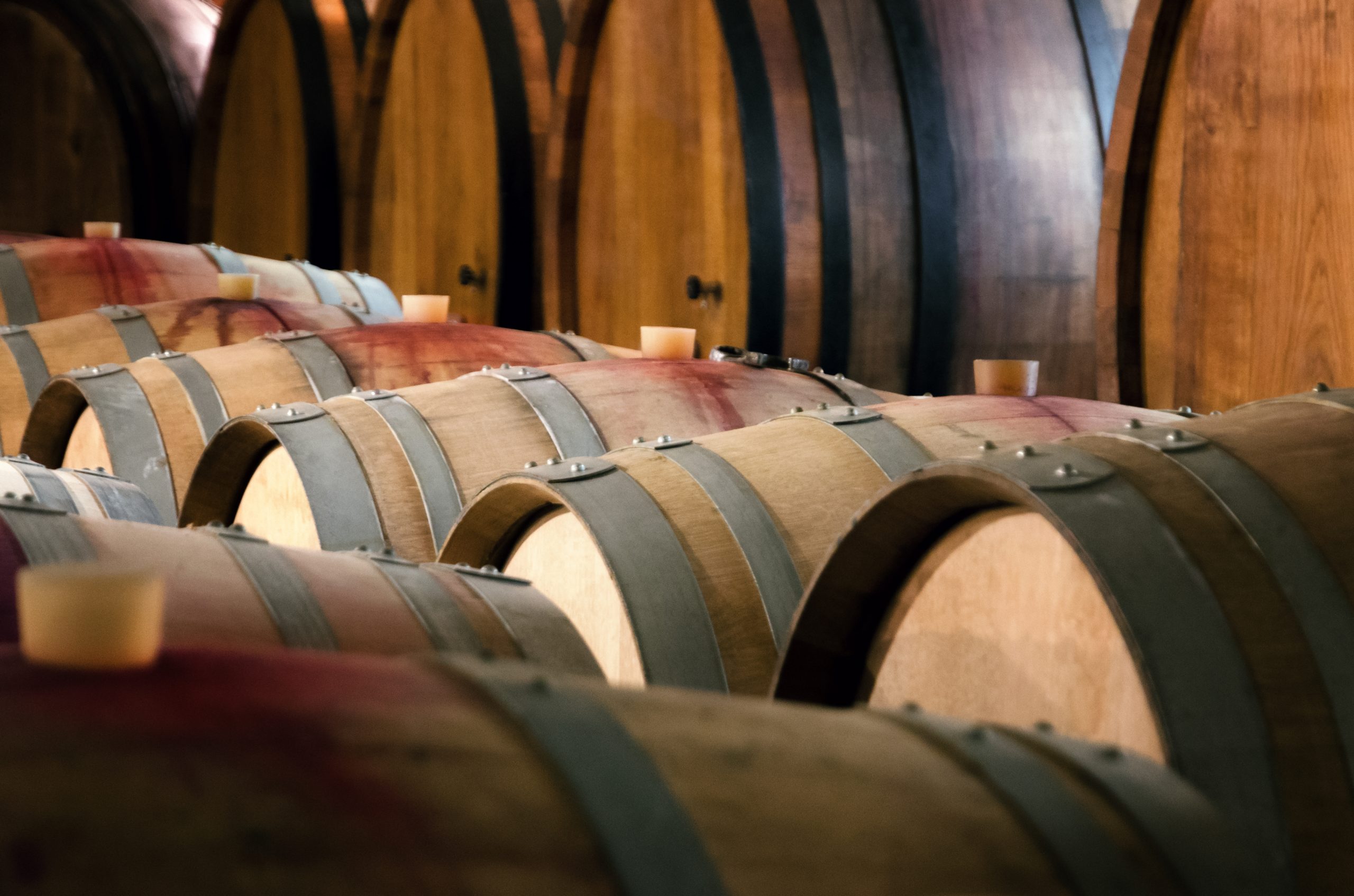 Date e consigli per l’imbottigliamento del vino 2023