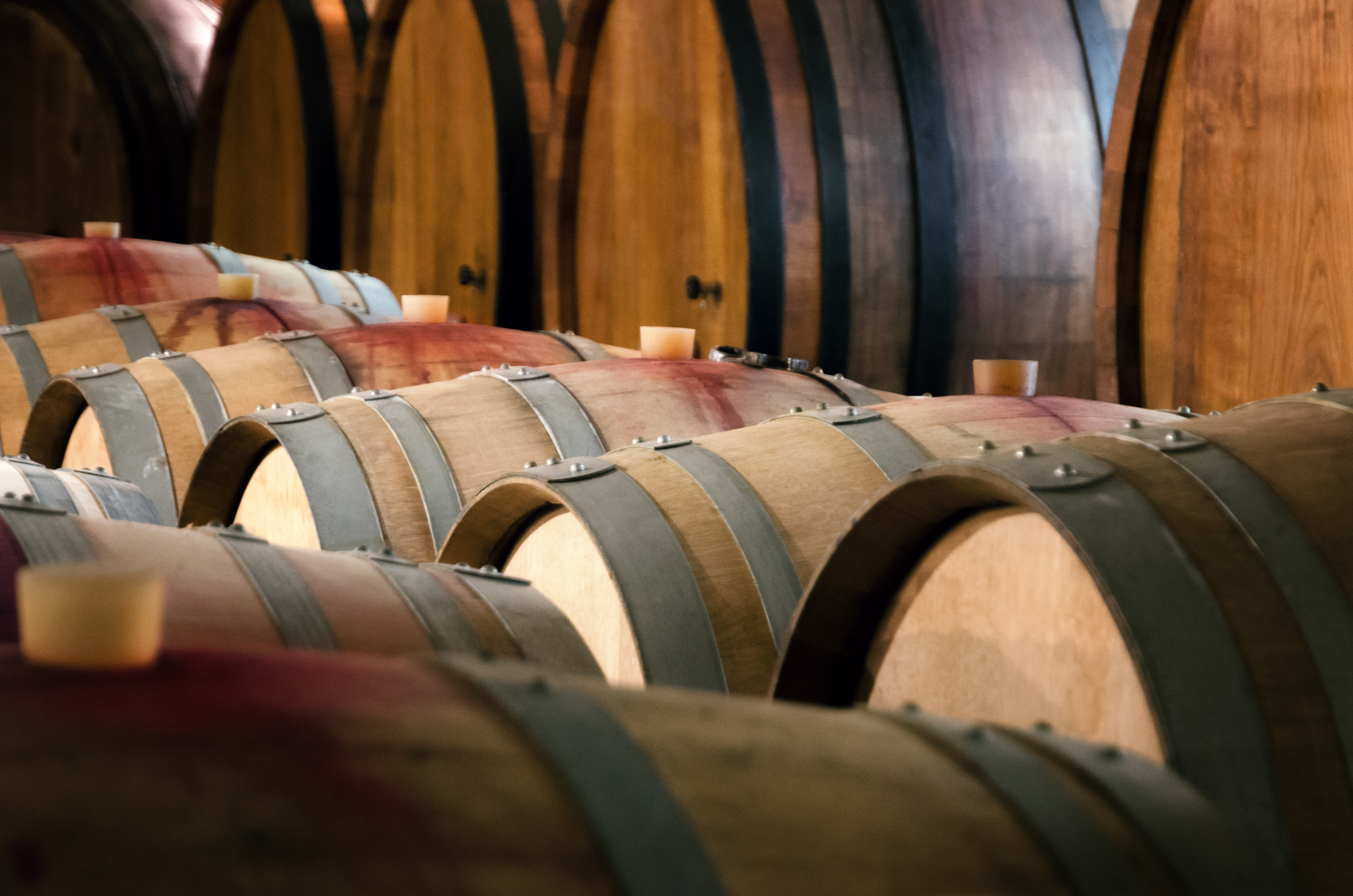 Noi di Polsinelli siamo esperti nell’imbottigliamento. Per questo, ecco a voi tutte le date e consigli per l’imbottigliamento del vino 2022.